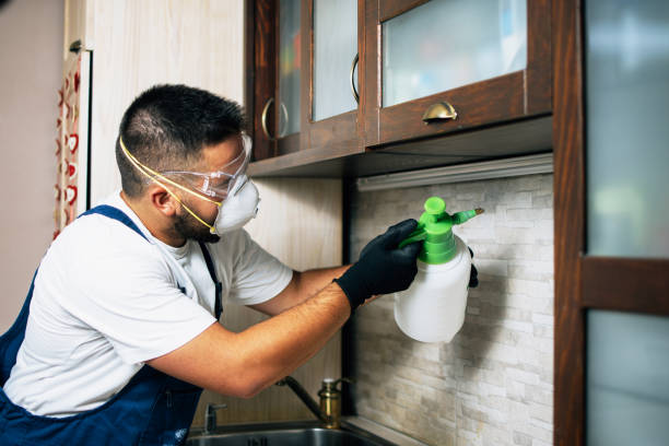 Wasp Removal Services in Newville, PA