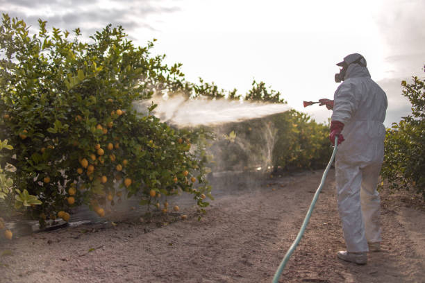 Best Wasp Removal Services  in Newville, PA