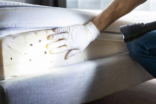 Best Affordable Pest Control Services  in Newville, PA